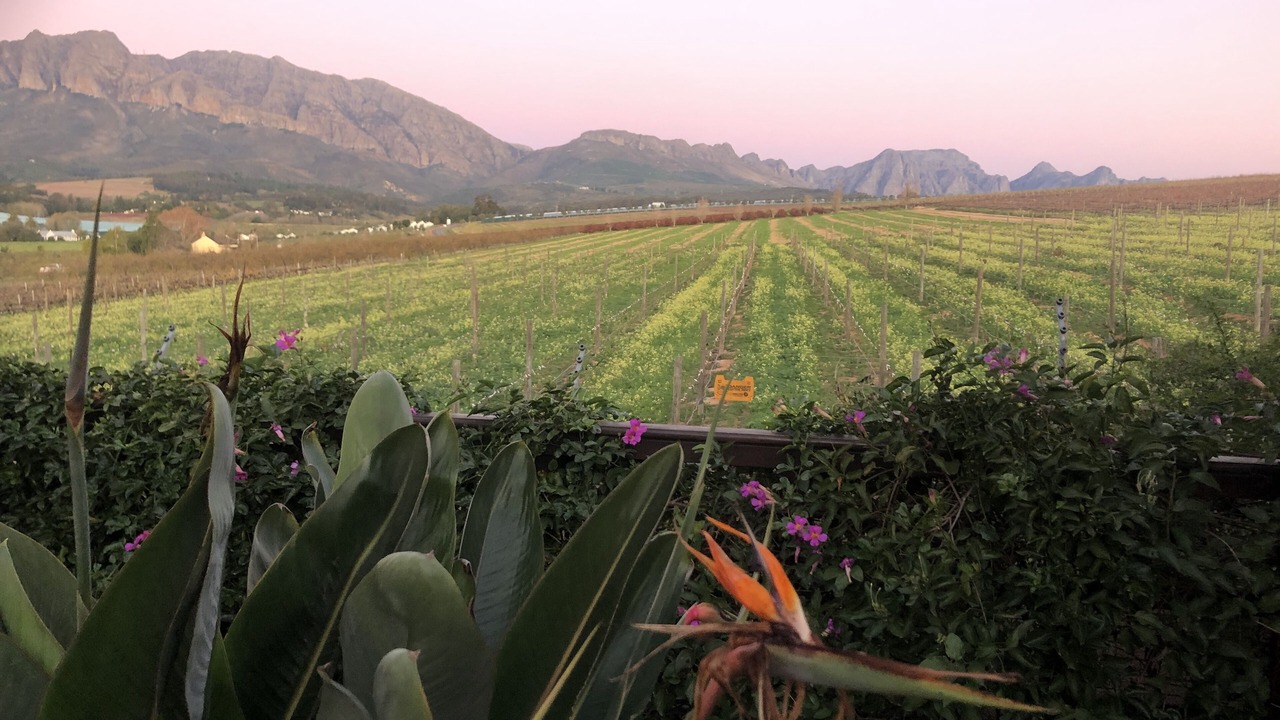 Photo of Outdoor in Drakenstein