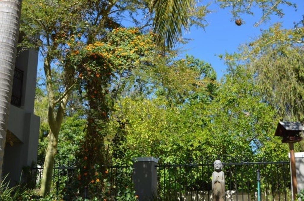 Photo of Outdoor in Durbanville