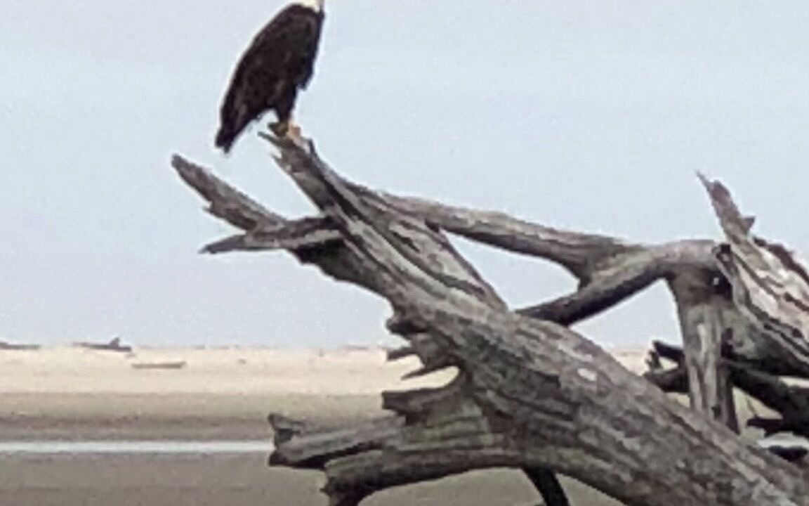Photo of Others in Seaside