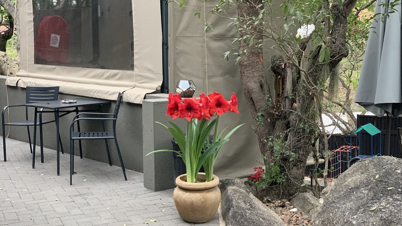 Photo of Outdoor in Nelspruit