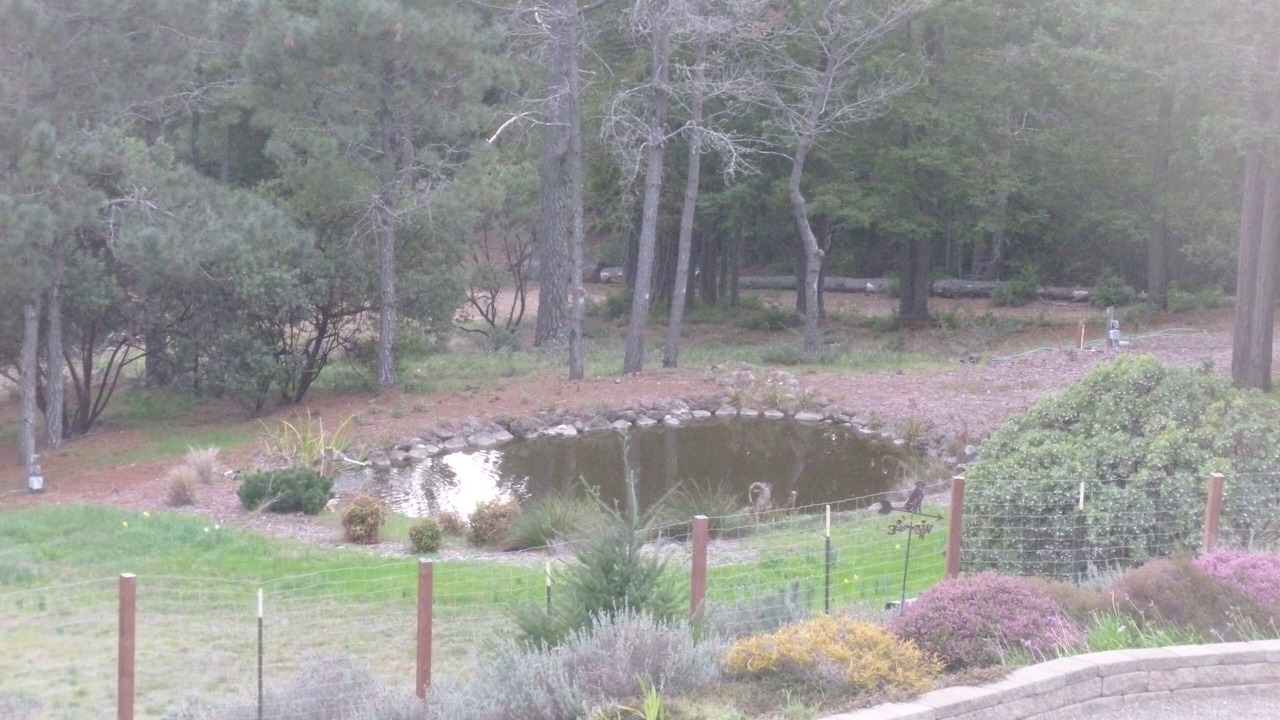 Photo of Others in Gualala
