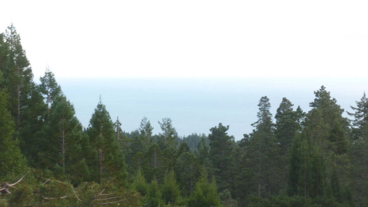 Photo of Others in Gualala