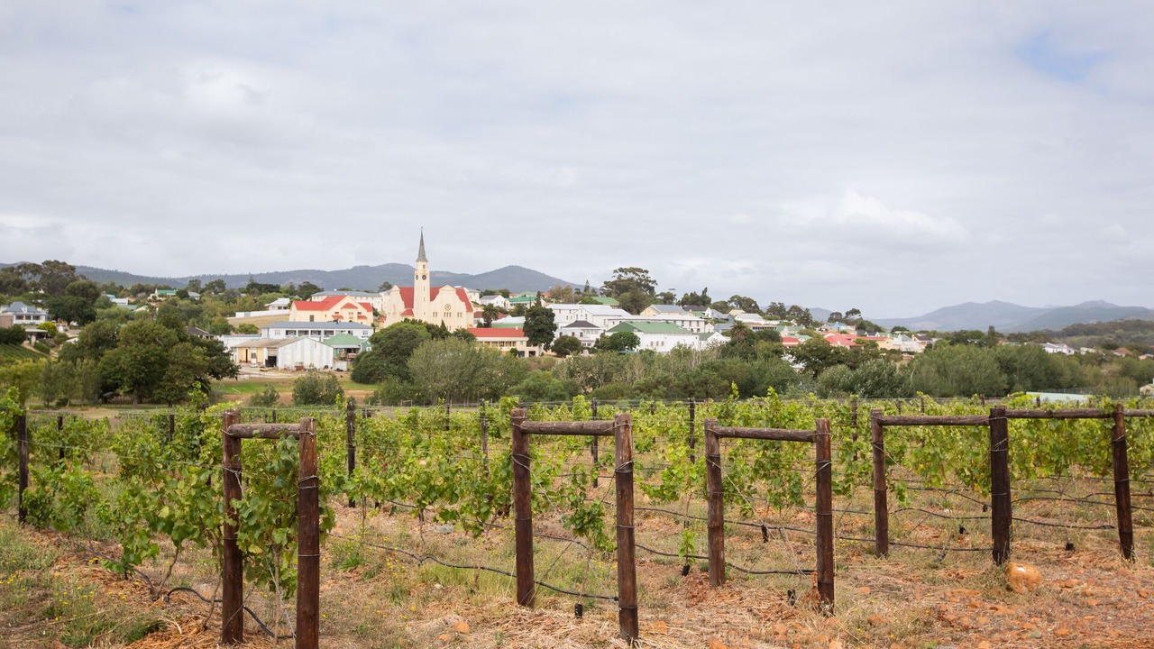 Photo of Outdoor in Napier