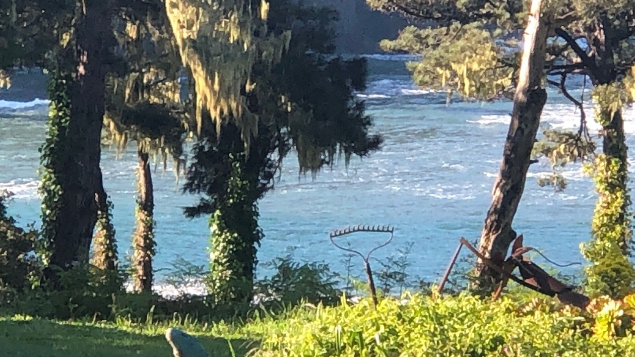 Photo of Others in Mendocino