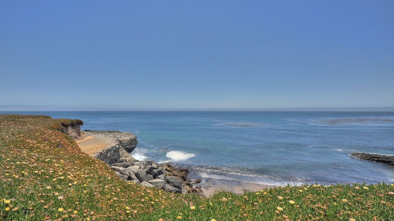 Photo of Others in Westside Santa Cruz