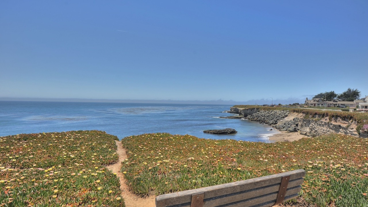 Photo of Others in Westside Santa Cruz