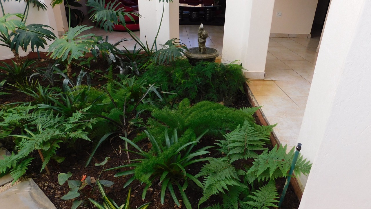 Photo of Outdoor in Pretoria