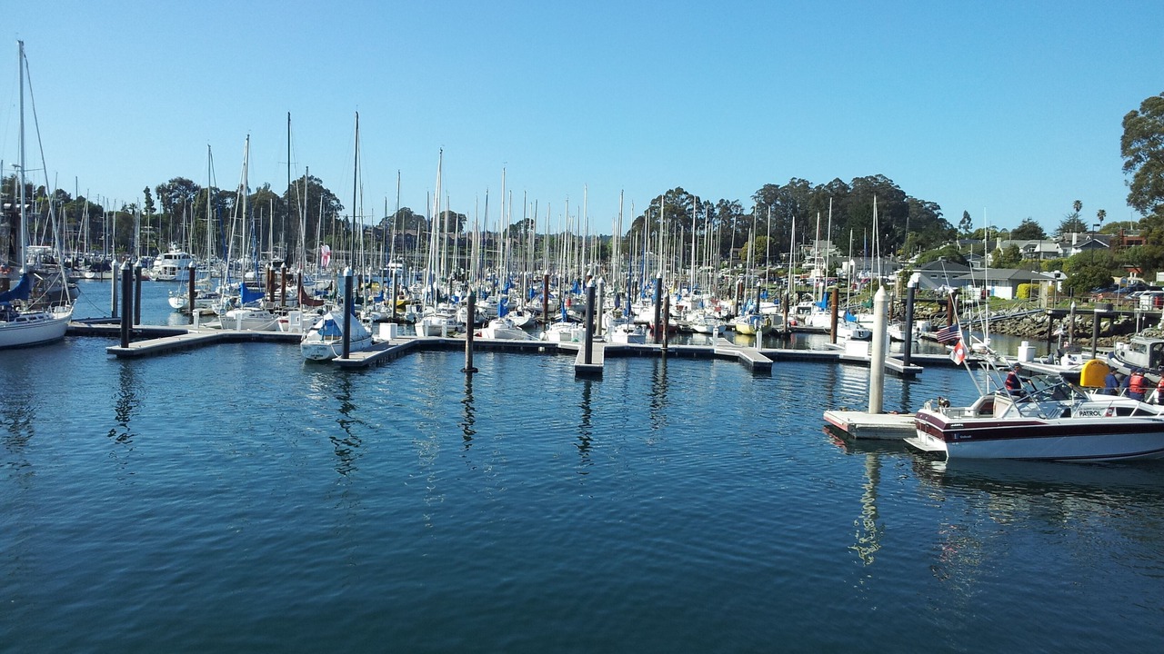 Photo of Others in Eastside Santa Cruz