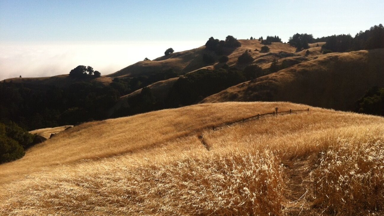 Photo of Others in Stinson Beach