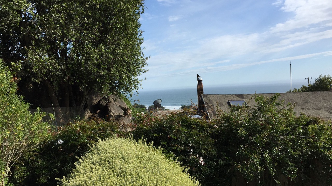 Photo of Others in Stinson Beach