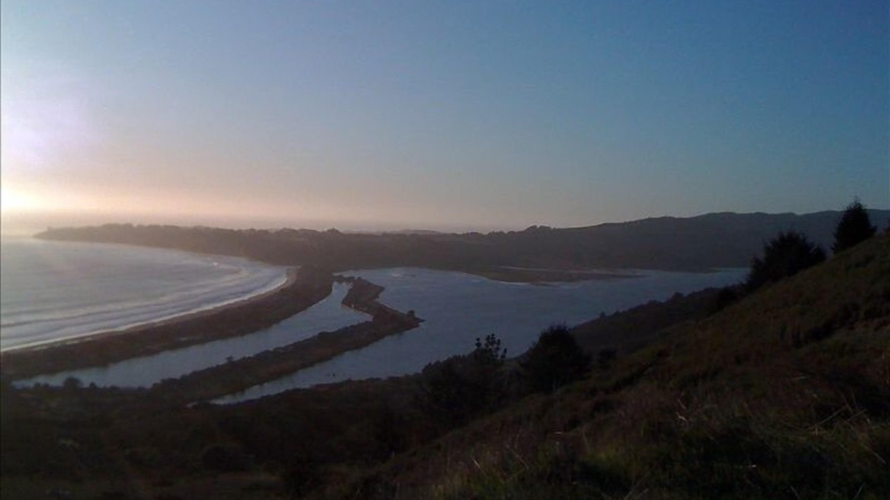 Photo of Others in Stinson Beach