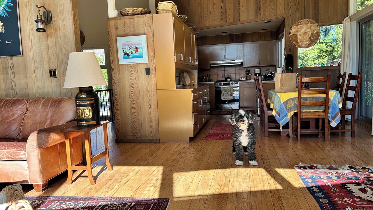 Photo of Livingroom in Bolinas