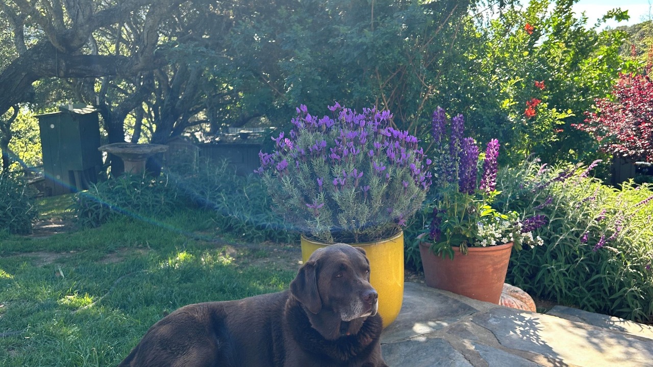 Photo of Outdoor in Bolinas