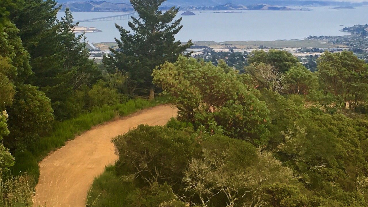 Photo of Outdoor in Mill Valley