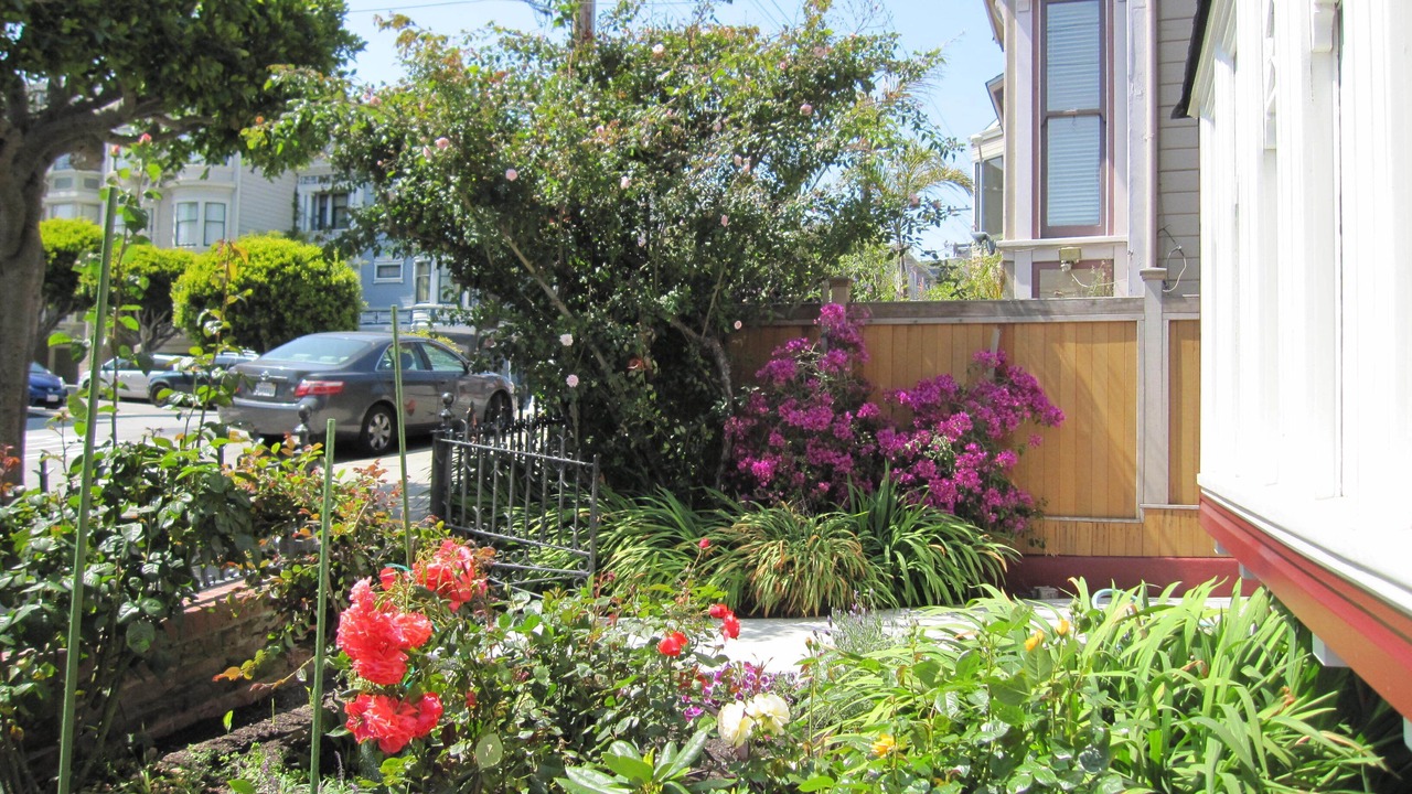 Photo of Others in Pacific Heights