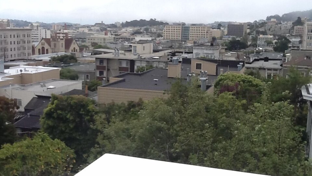 Photo of Others in Pacific Heights