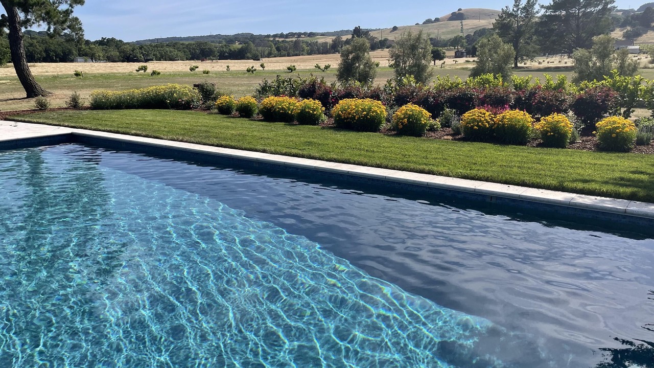 Photo of Others in Sonoma