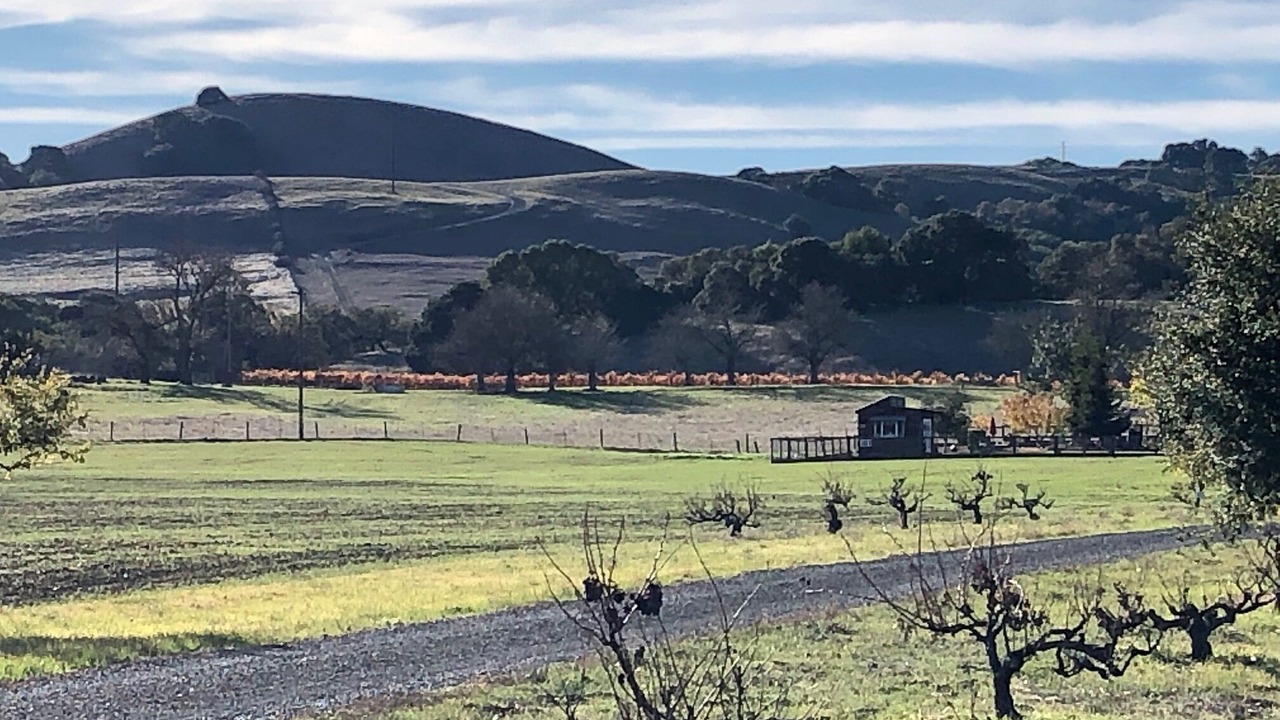 Photo of Outdoor in Sonoma