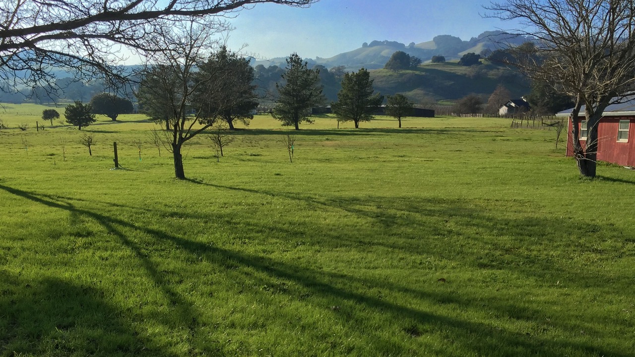 Photo of Others in Sonoma