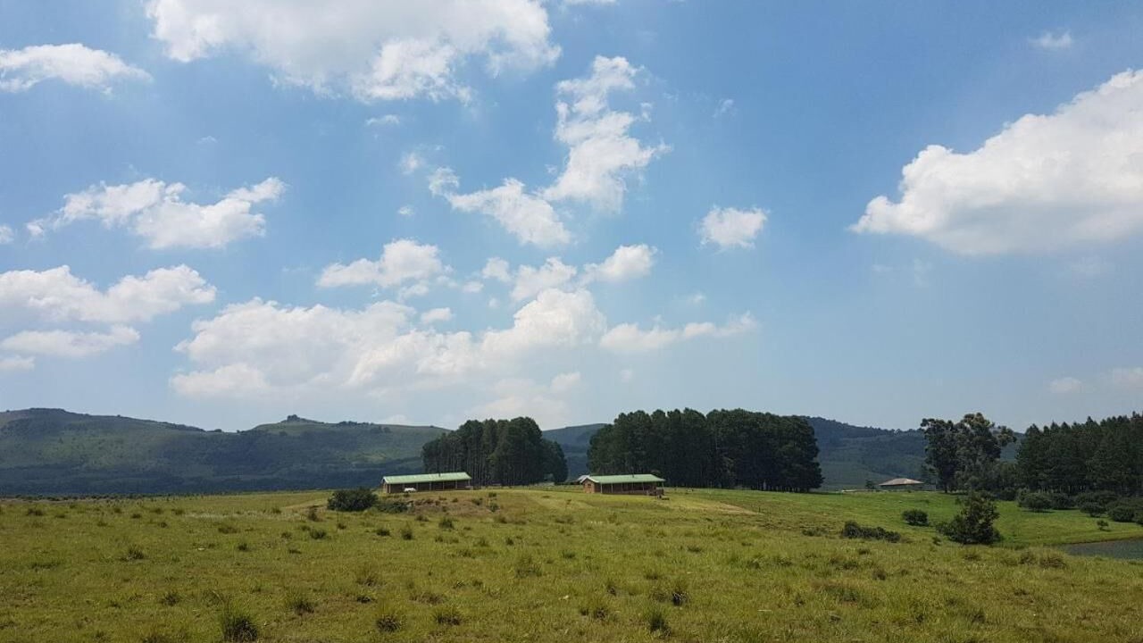Photo of Outdoor in Emadlangeni