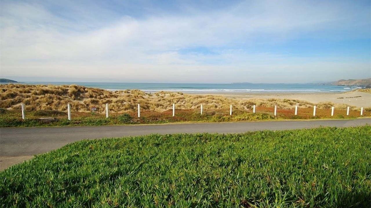 Photo of Others in Dillon Beach