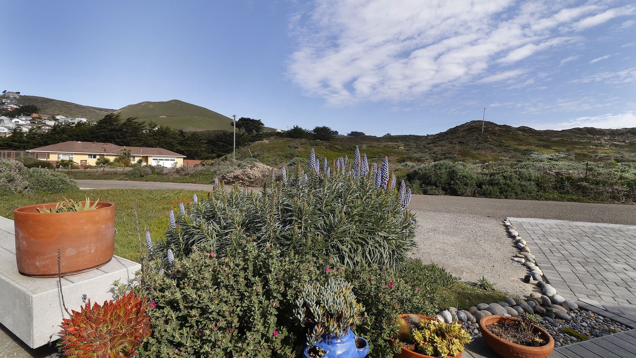 Photo of Outdoor in Dillon Beach
