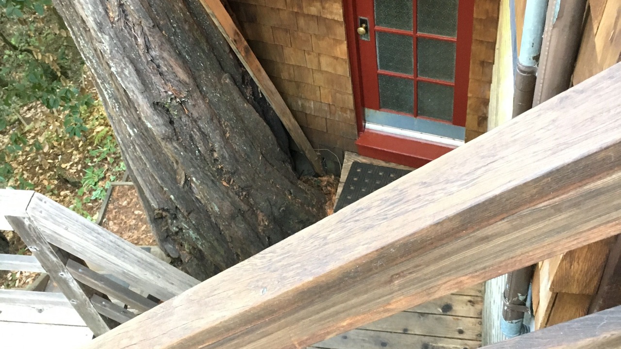 Photo of Outdoor in Guerneville