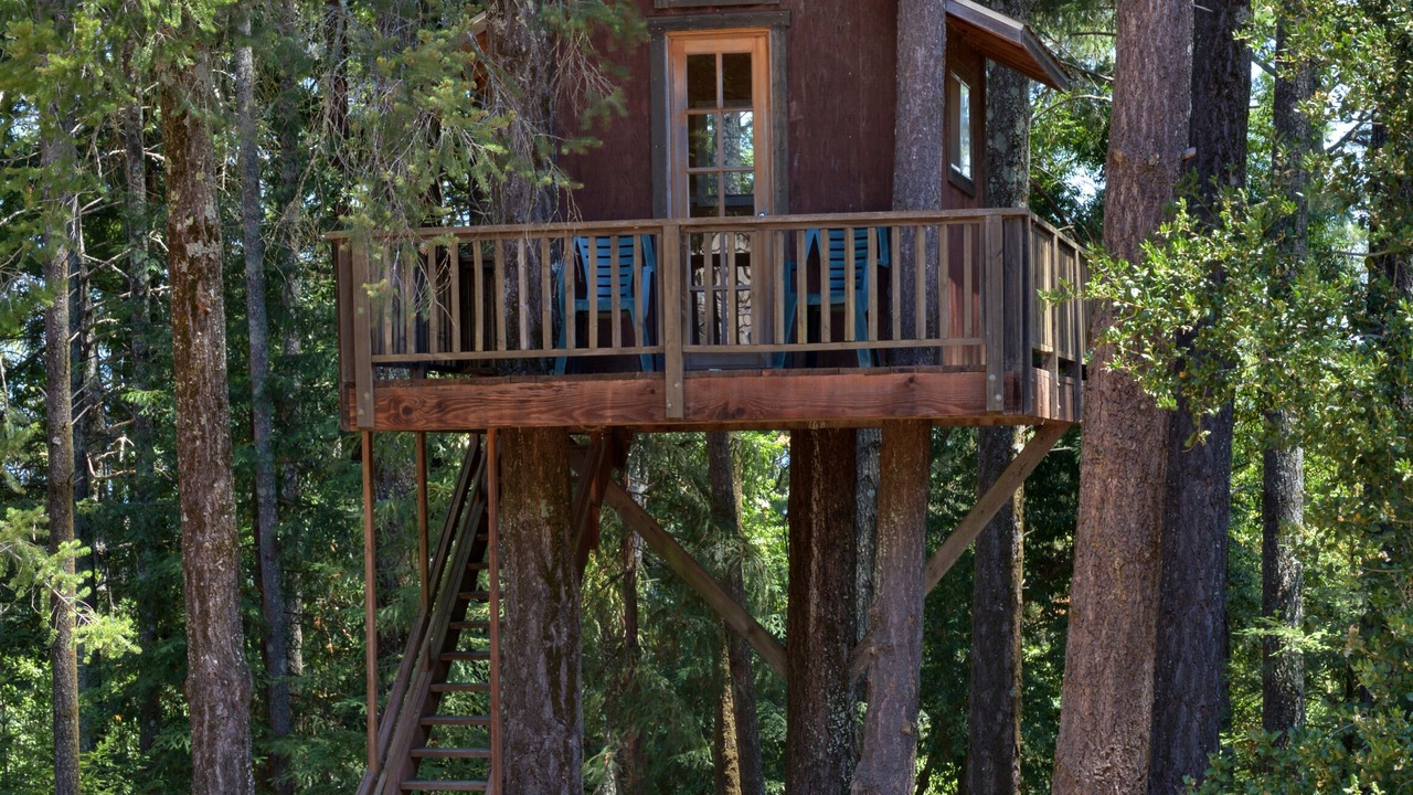 Photo of Outdoor in Healdsburg