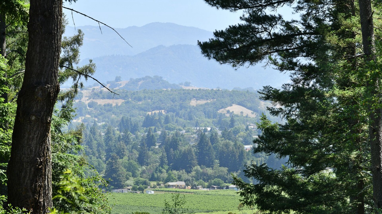 Photo of Outdoor in Healdsburg