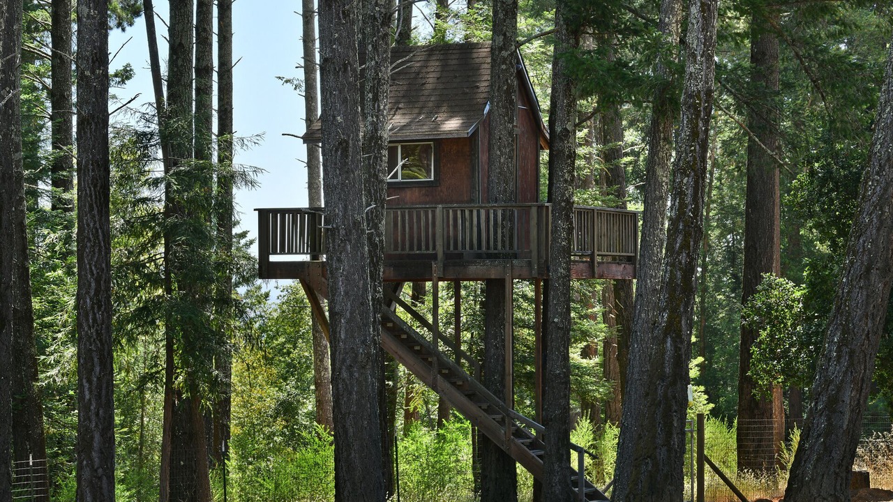Photo of Outdoor in Healdsburg