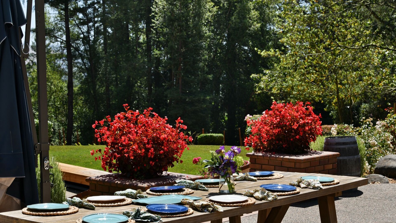 Photo of Outdoor in Healdsburg
