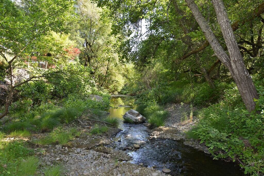 Photo of Outdoor in Glen Ellen