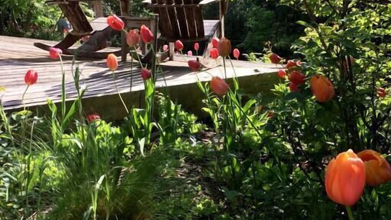 Photo of Patio Balcony in Glen Ellen