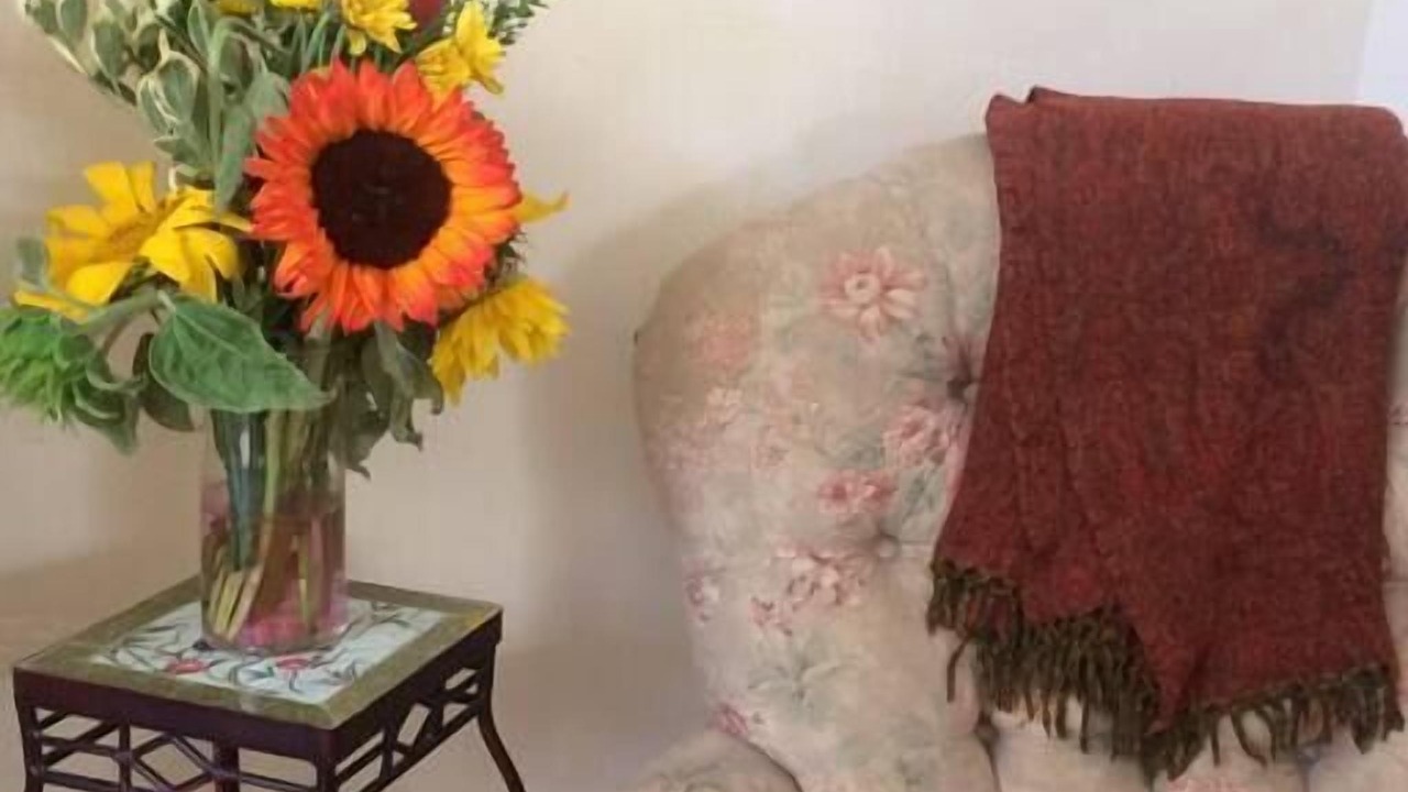 Photo of Livingroom in Glen Ellen