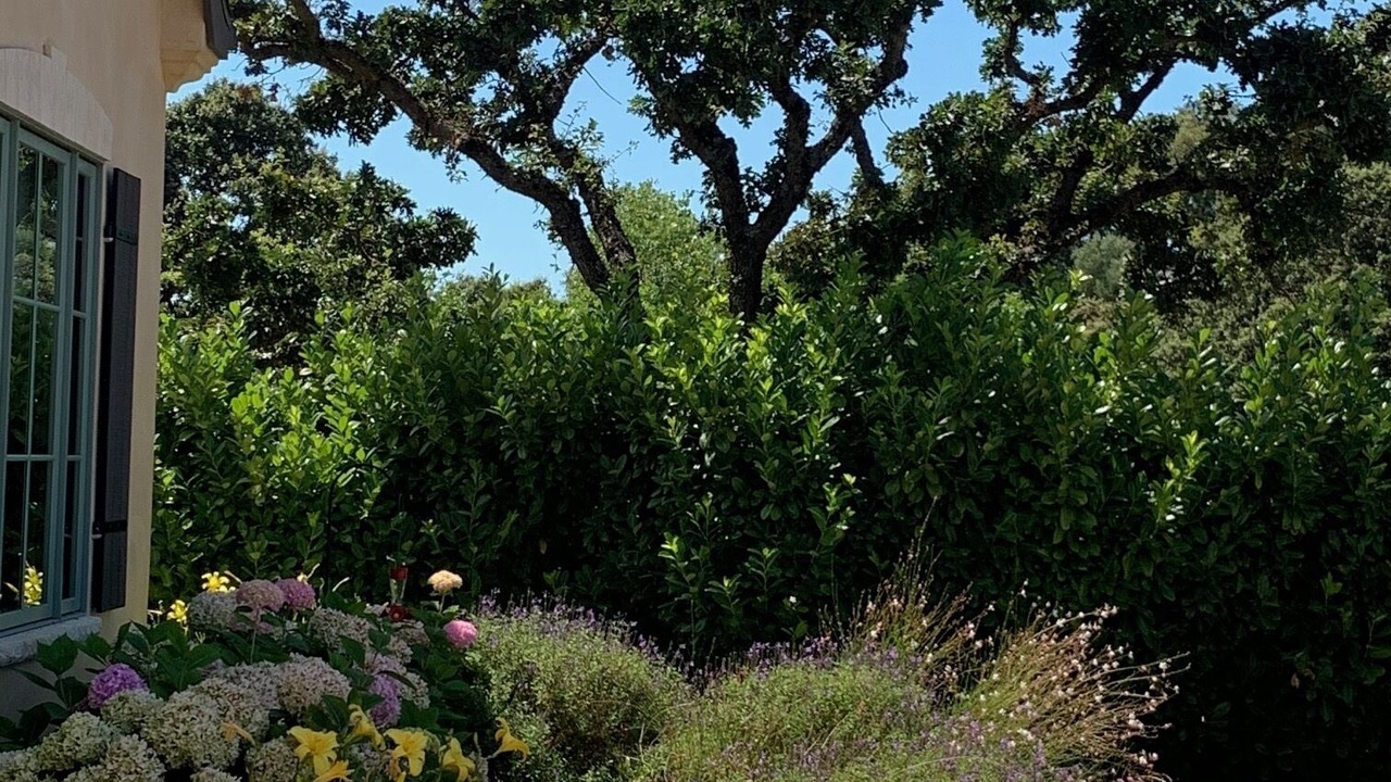 Photo of Others in Sonoma