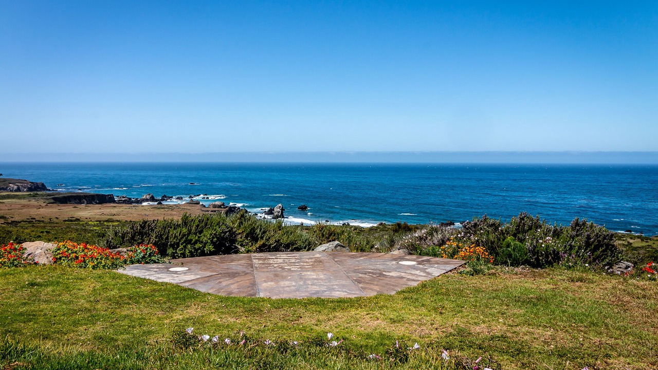 Photo of Others in Big Sur
