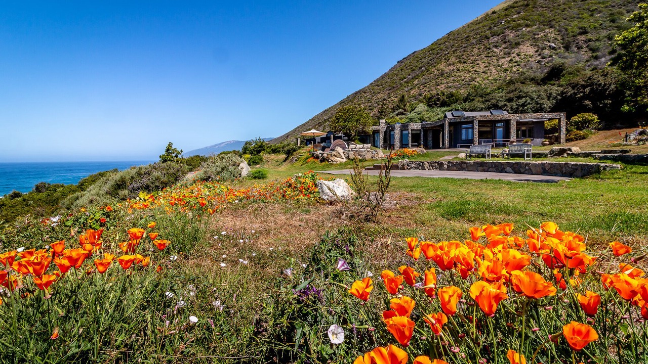 Photo of Outdoor in Big Sur