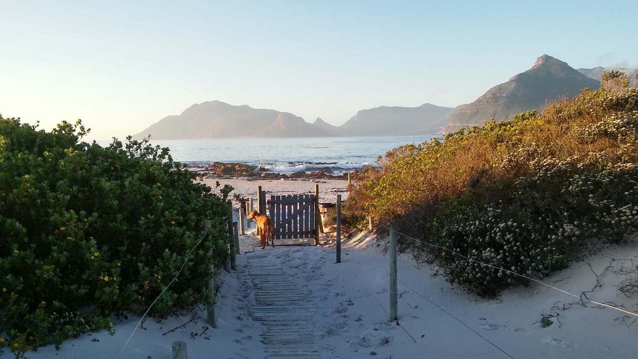 Photo of Others in Kommetjie