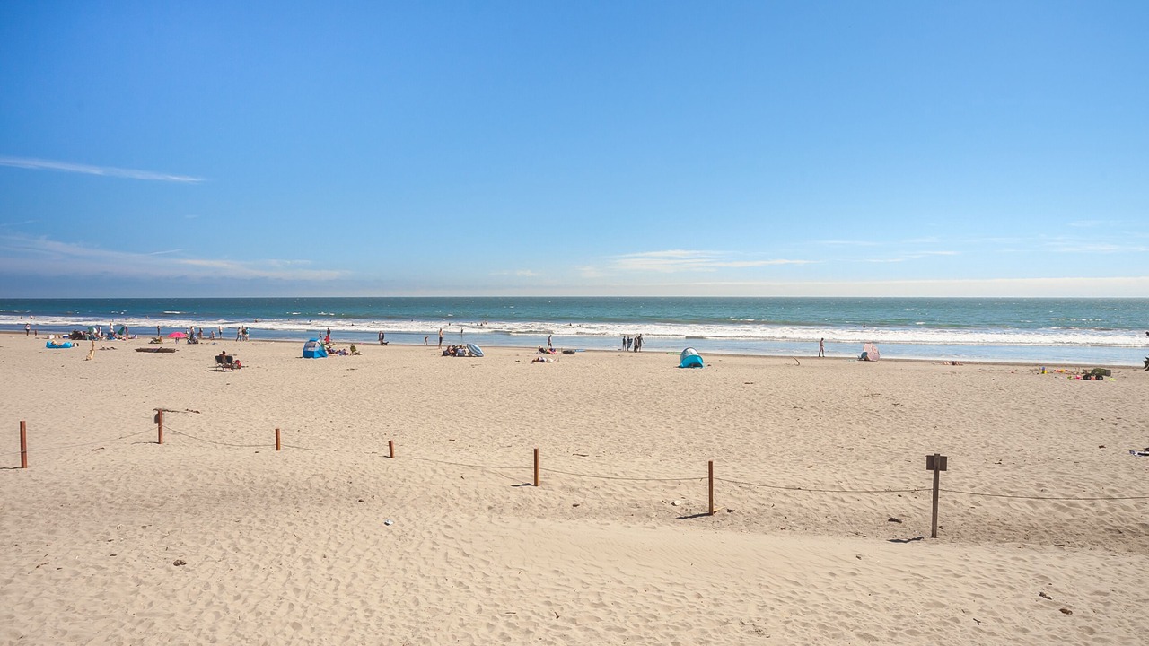 Photo of Others in Stinson Beach