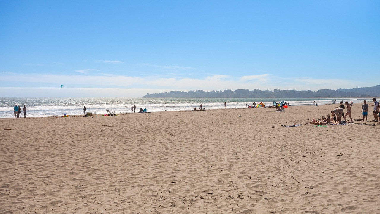 Photo of Others in Stinson Beach