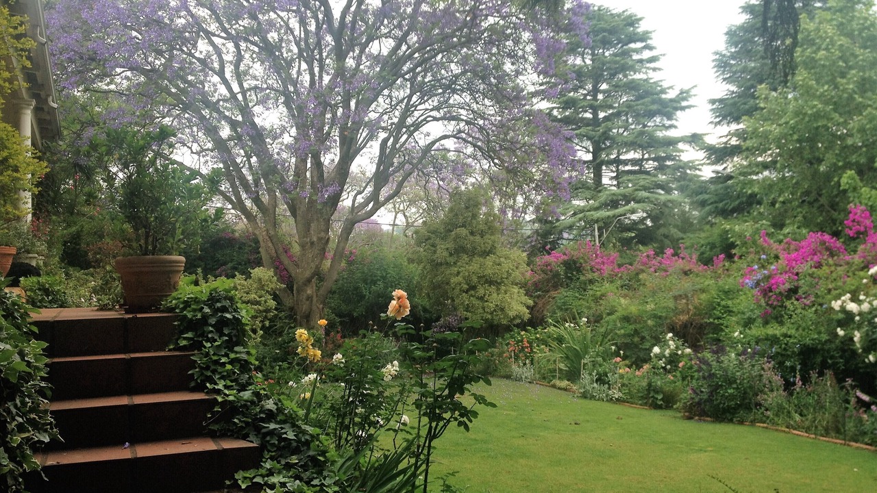 Photo of Outdoor in Parkview