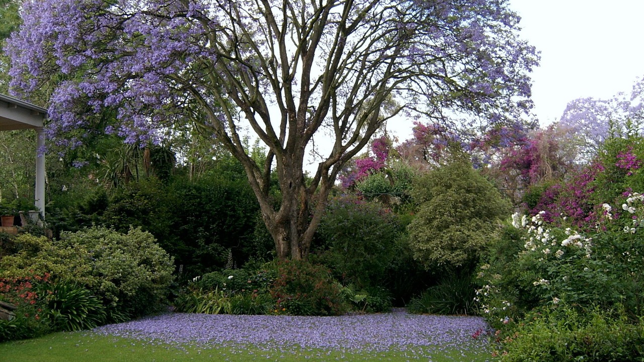 Photo of Outdoor in Parkview