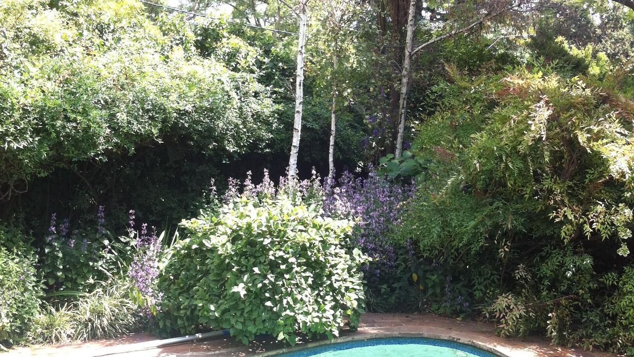 Photo of Outdoor in Parkview