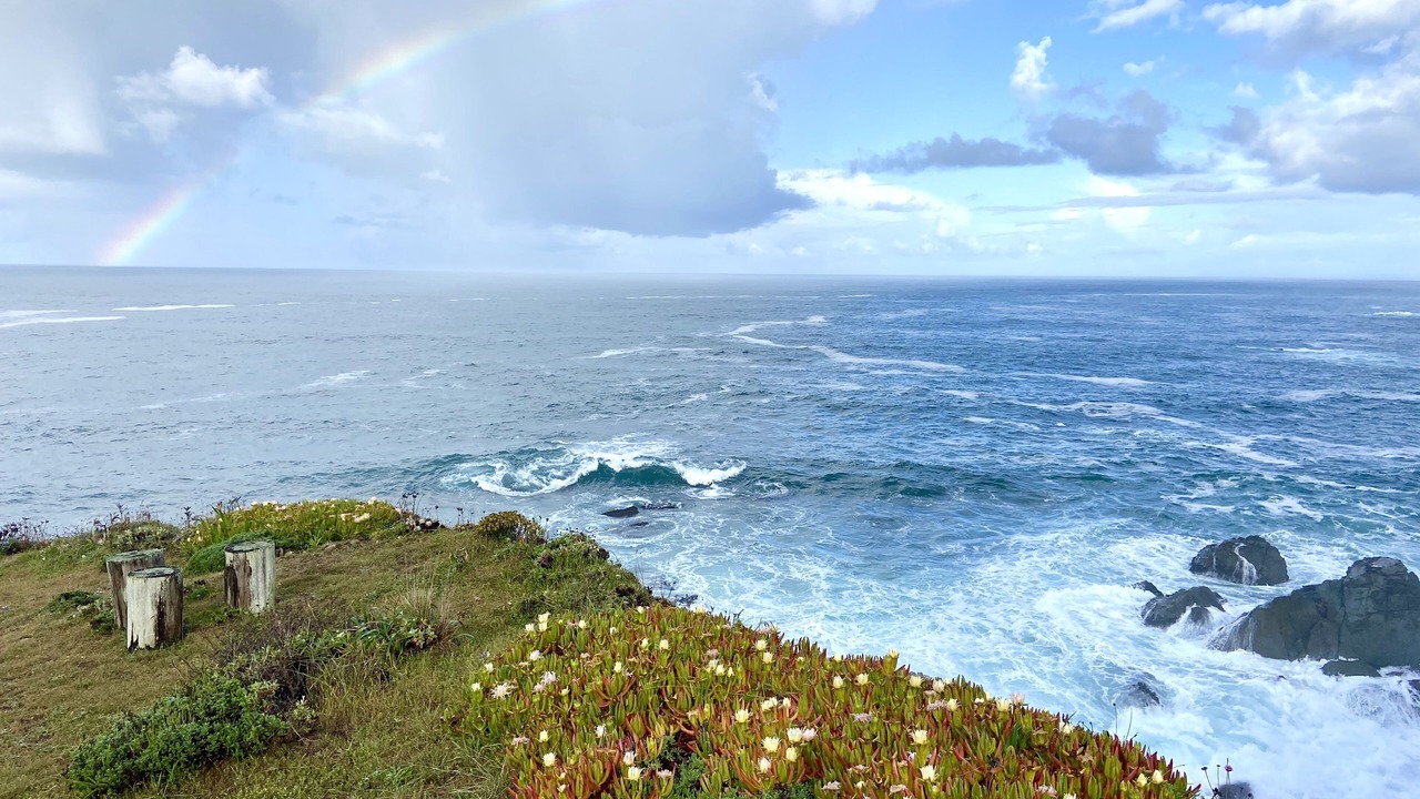 Photo of Others in Stewarts Point