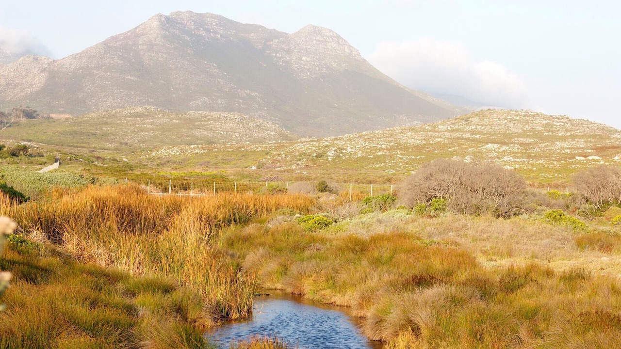 Photo of Outdoor in Cape Peninsula