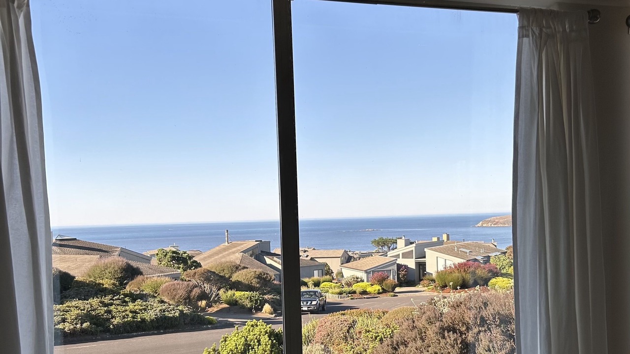 Photo of Others in Bodega Bay