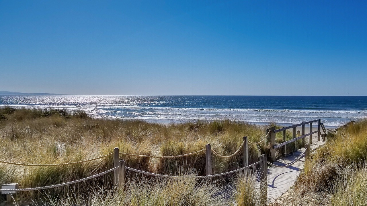 Photo of Others in Pajaro Dunes