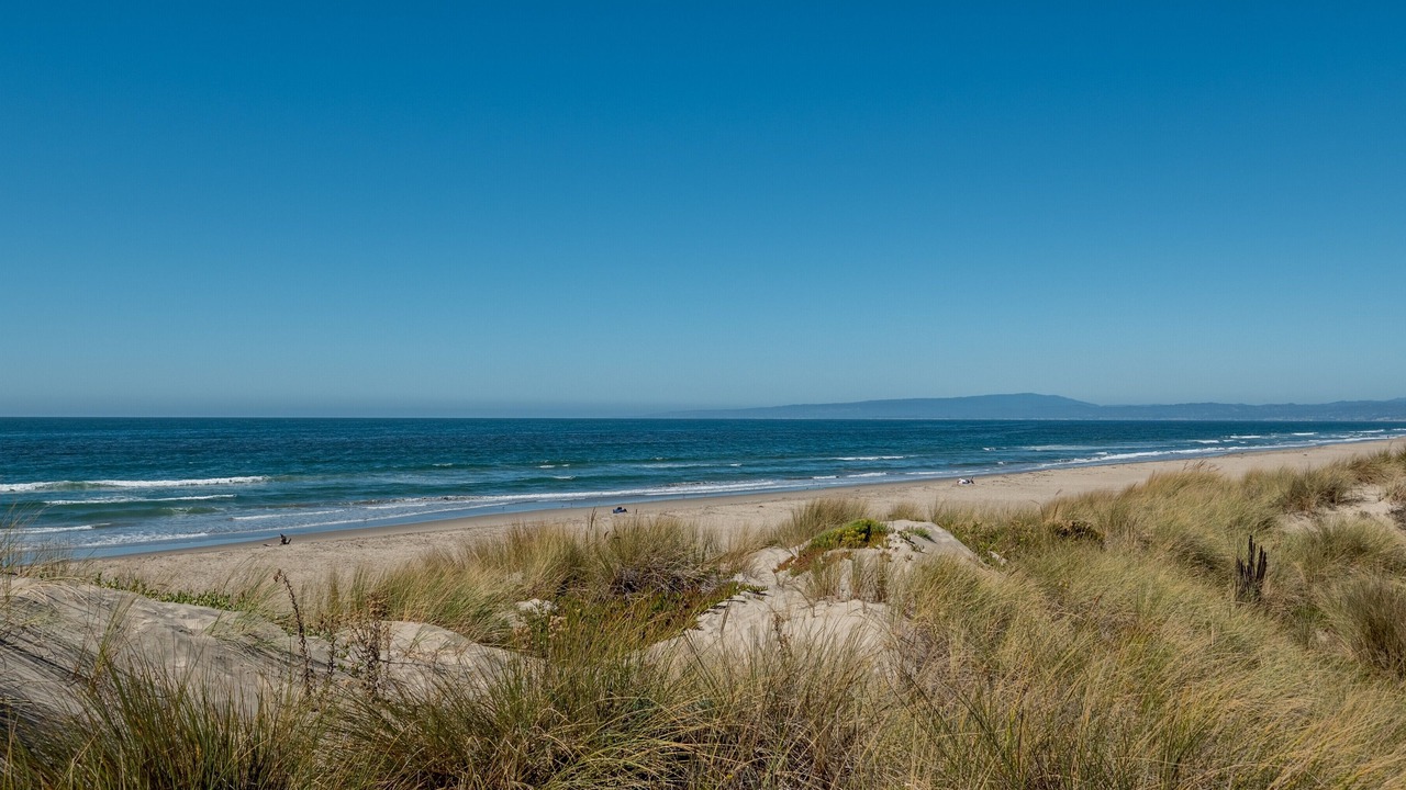 Photo of Others in Pajaro Dunes