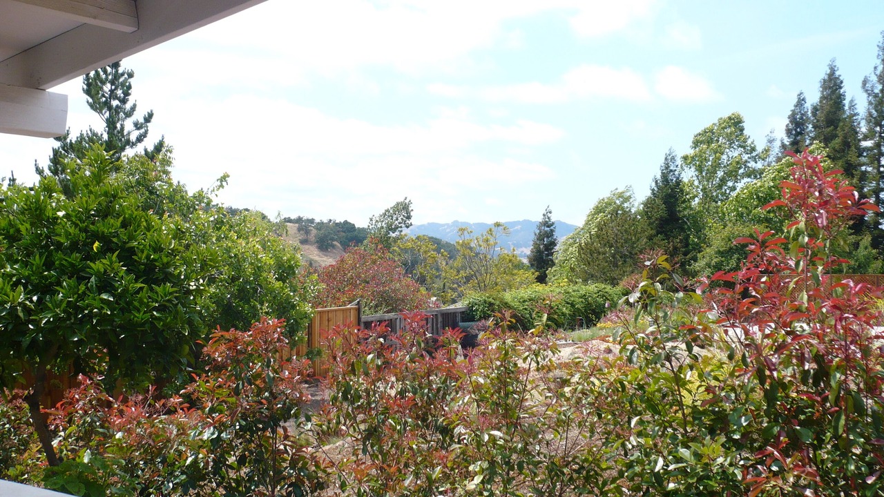 Photo of Others in Walnut Creek