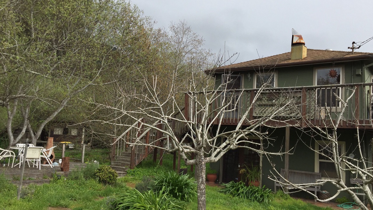 Photo of Others in Stinson Beach